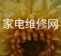 投標(biāo)要注意些什么？
